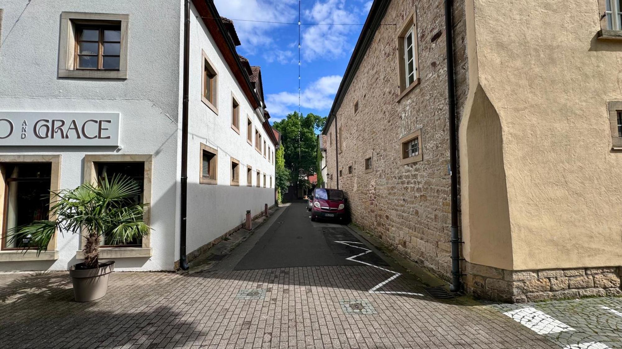Design Penthouse Im Alten Schloss Deidesheim Eksteriør billede